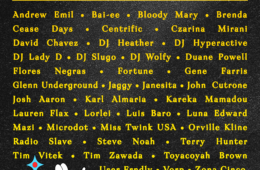 VIva Acid 2024 Lineup