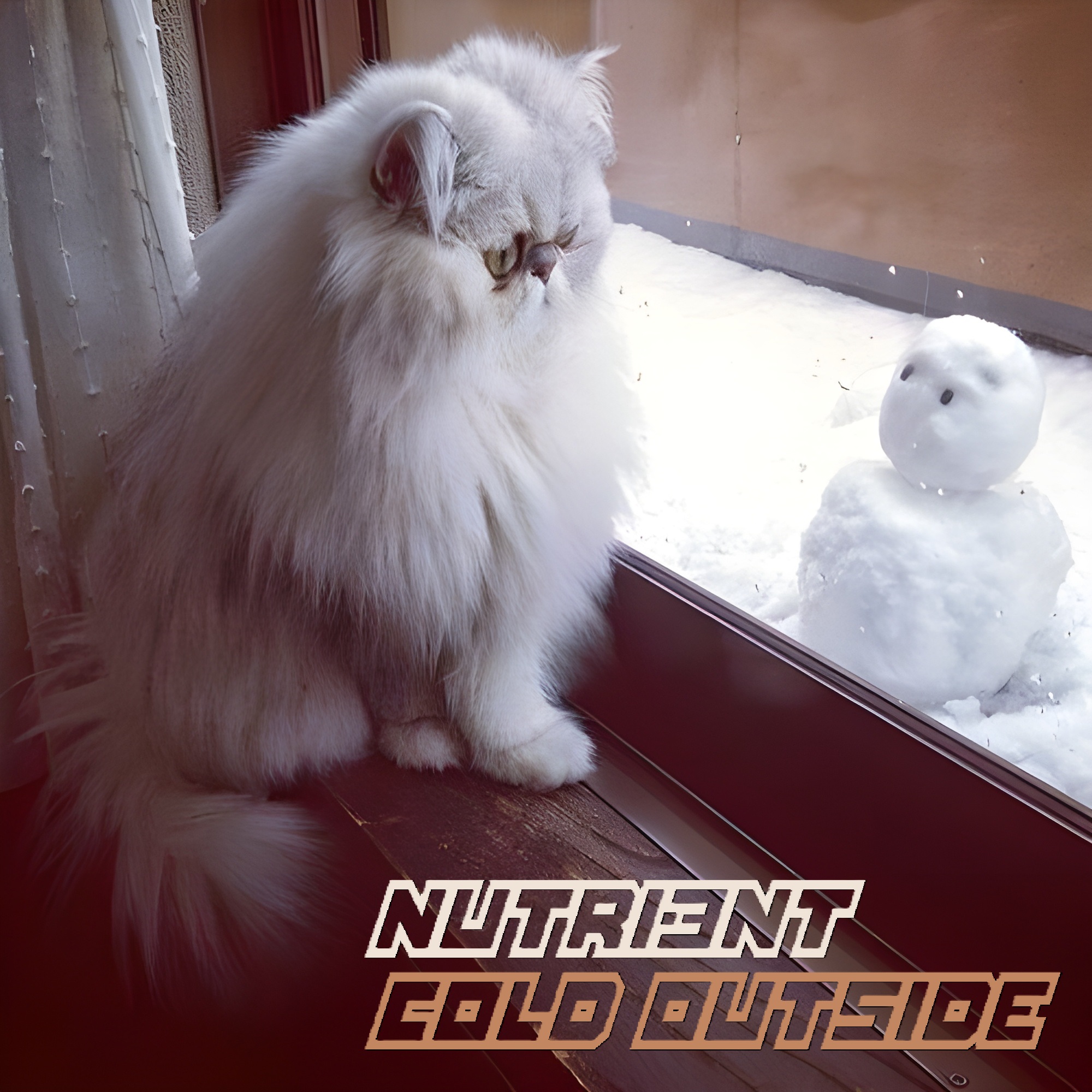 NUTRI3NT – Cold Outside