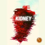 Saint Kidney – Melting Metropolis