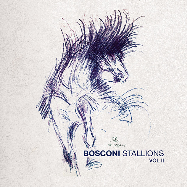 bosconi stallions due