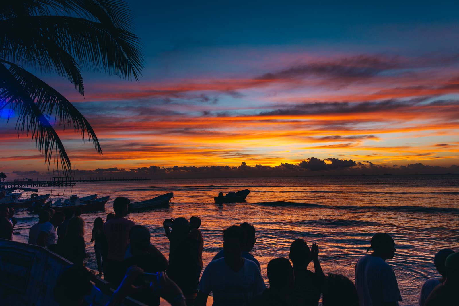 bpm festival 2017